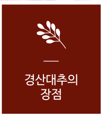 행복유통경산대추의 장점